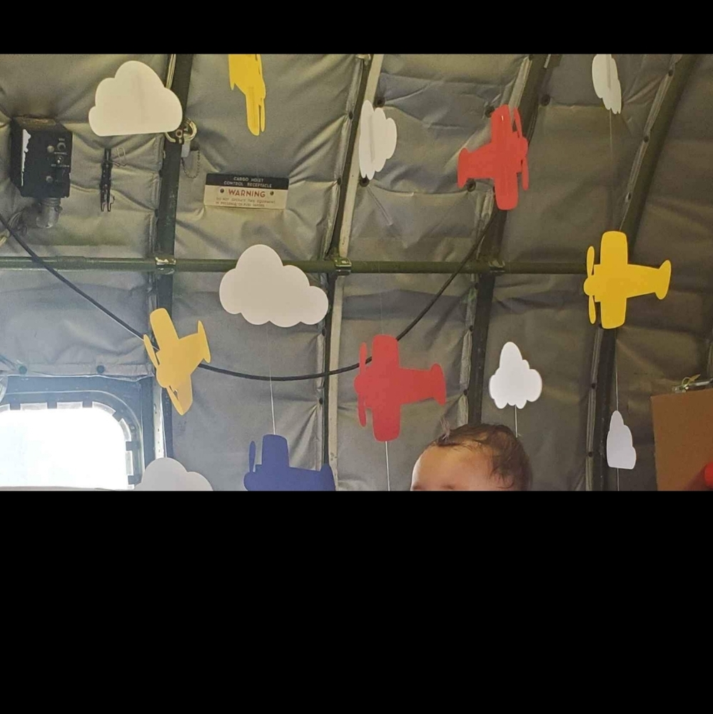 Time Flies/Airplane/1st Birthday Party Decorations